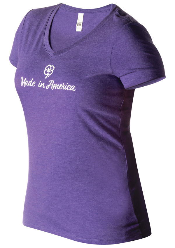 Ladies V-Neck T-Shirt (Purple Frost)
