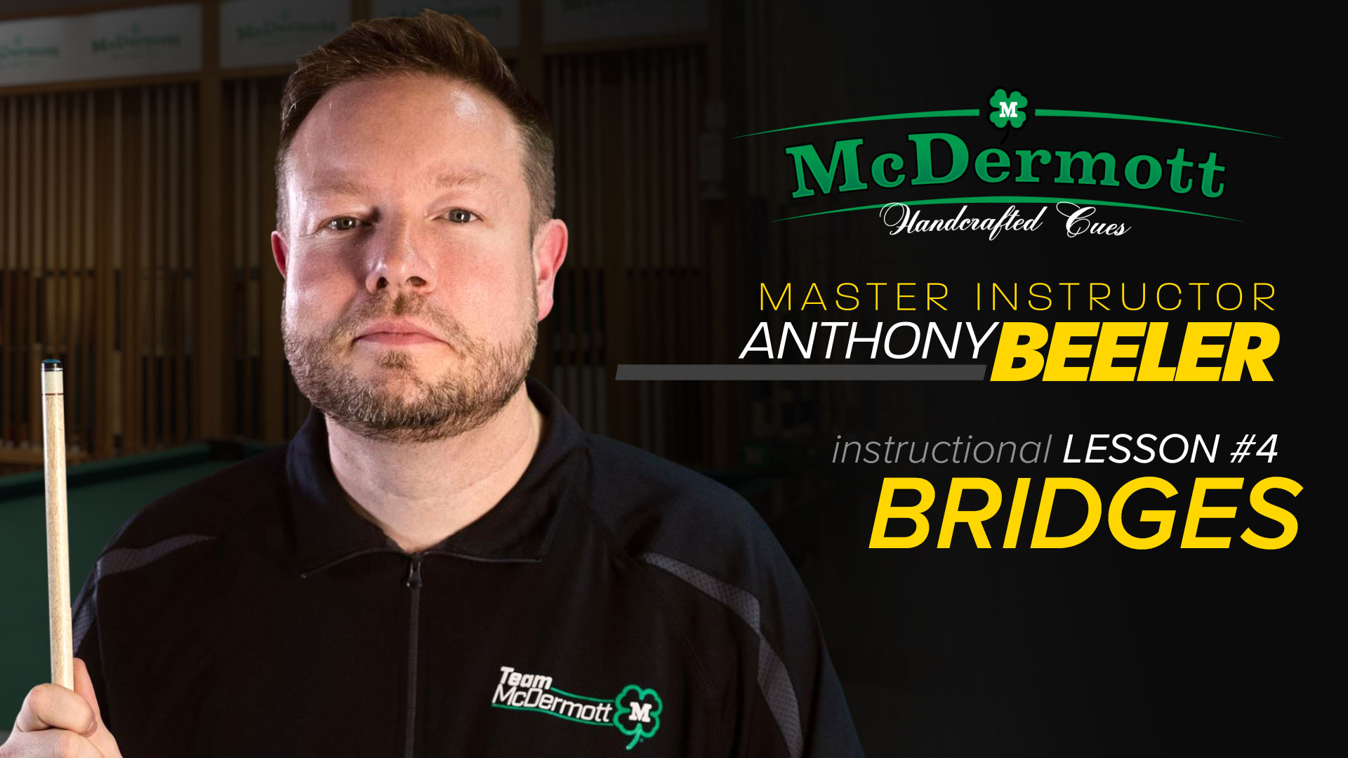 instructional lesson #4: Bridges