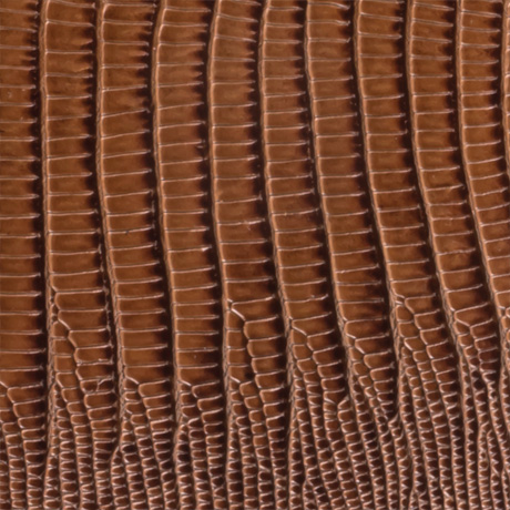 Brown Lizard Leather (41L)