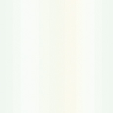 White Pearl Paint